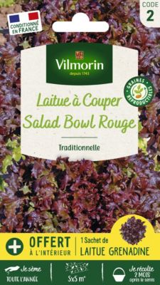 Graines de laitue variété "Red salad bowl" Vilmorin semis toute l'année