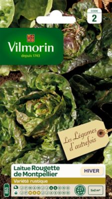 Graines de laitue variété "Rougette de Montpellier" Vilmorin semis de août à septembre