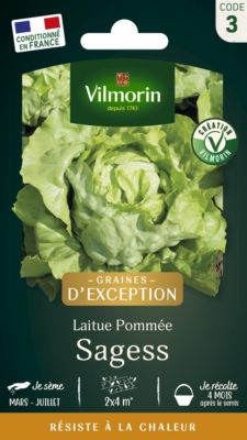 Graines de laitue variété "Sagess" Vilmorin semis de février à août