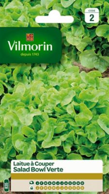 Graines de laitue variété "Salad bowl verte" Vilmorin semis toute l'année