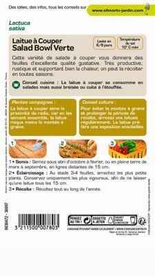 Graines de laitue variété "Salad bowl verte" Vilmorin semis toute l'année