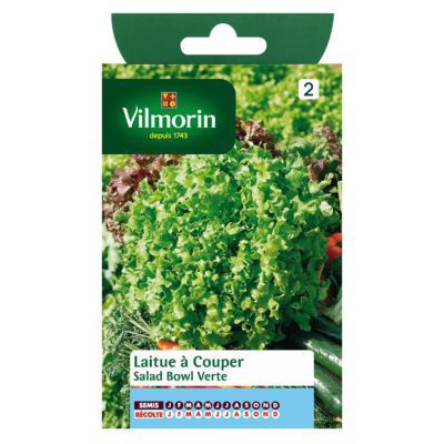 Graines de laitue variété "Salad bowl verte" Vilmorin semis toute l'année