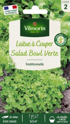 Graines de laitue variété "Salad bowl verte" Vilmorin semis toute l'année