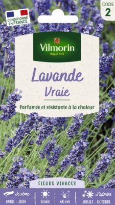 Graines de Lavande Vraie parfumées Vilmorin