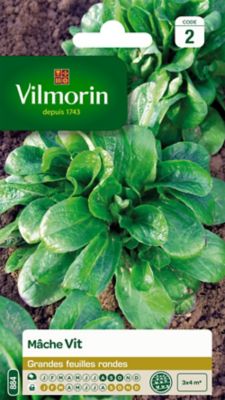 Graines de mâche variété "Vit" Vilmorin semis d'août à octobre