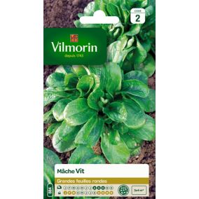 Graines de mâche variété "Vit" Vilmorin semis d'août à octobre