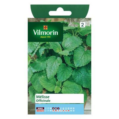 Graines de mélisse variété "Officinale" Vilmorin semis d'avril à juin