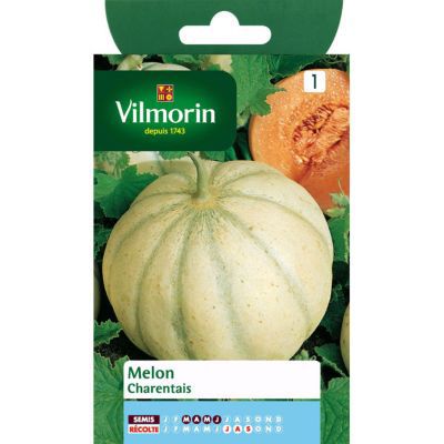 Graines de Melon Charentais Vilmorin