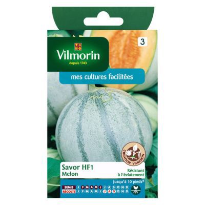 Graines de Melon Savor Hybride F1 Vilmorin