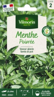 Graines de menthe variété "Poivrée" Vilmorin semis de mars à juillet