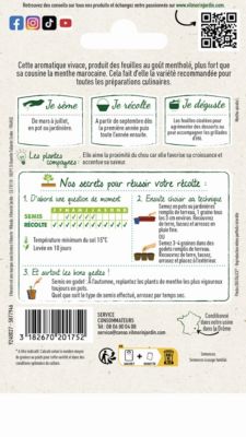 Graines de menthe variété "Poivrée" Vilmorin semis de mars à juillet