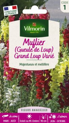 Graines de Muflier Grand Loup Varié (Gueule de Loup) Vilmorin