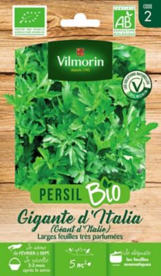 Graines de persil bio variété "Géant d'Italie" Vilmorin semis de février à septembre