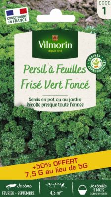 Graines de Persil Frisé Vert Foncé Vilmorin