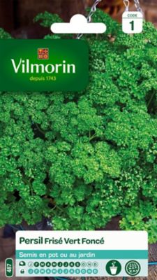 Graines de Persil Frisé Vert Vilmorin