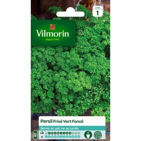 Graines de Persil Frisé Vert Vilmorin