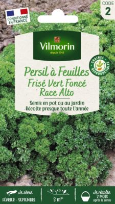 Graines de persil variété "Alto" Vilmorin semis de février à septembre