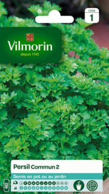 Graines de persil variété "Commun 2" Vilmorin semis de février à septembre