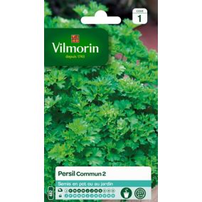 Graines de persil variété "Commun 2" Vilmorin semis de février à septembre