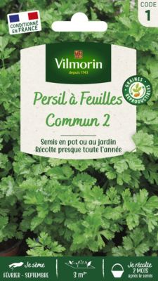 Graines de persil variété "Commun 2" Vilmorin semis de février à septembre