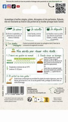 Graines de persil variété "Commun 2" Vilmorin semis de février à septembre