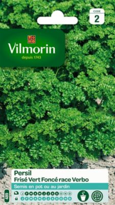 Graines de persil variété "Frisé vert foncé race Verbo" Vilmorin semis de février à septembre