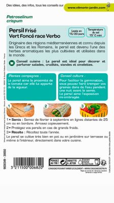Graines de persil variété "Frisé vert foncé race Verbo" Vilmorin semis de février à septembre