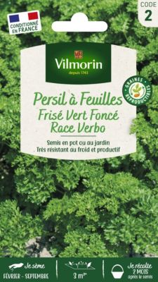 Graines de persil variété "Frisé vert foncé race Verbo" Vilmorin semis de février à septembre
