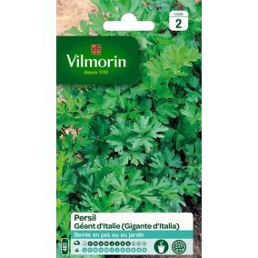 Graines de persil variété "Géant d'Italie" Vilmorin semis de février à septembre