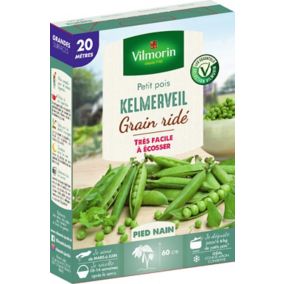 Graines de petit pois variété "Kelmerveil" Vilmorin semis de mars à juin