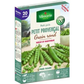 Graines de petit pois variété "Petit provençal" Vilmorin semis de février à avril et d'octobre à novembre