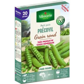 Graines de petit pois variété "Précovil" Vilmorin semis de février à avril et d'octobre à novembre