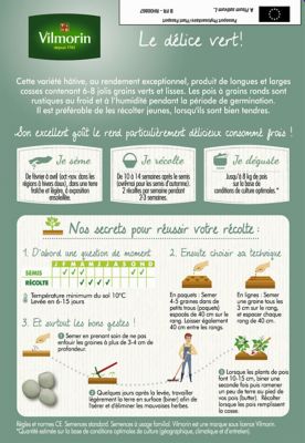 Graines de petit pois variété "Précovil" Vilmorin semis de février à avril et d'octobre à novembre