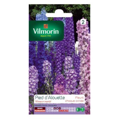 Graines de Pied d'Alouette Vivace Varié (Delphinium)