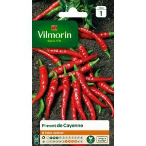 Graines de piment variété "Cayenne" Vilmorin semis de février à avril