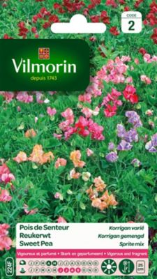 Graines de Pois de Senteur Korrigan Varié Vilmorin