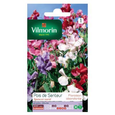 Graines de Pois de Senteur Spencer Varié Vilmorin