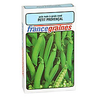 Graines de Pois Petit Provençal
