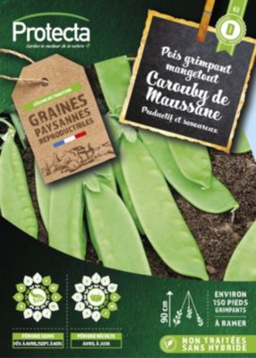 Graines de pois variété "Carouby de Maussane" Protecta semis de février à avril et de septembre à novembre