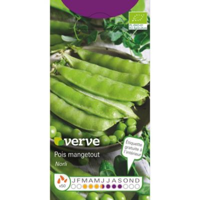 Graines de pois variété "Norli" Verve semis de mars à juin