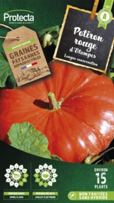 Potiron Rouge Vif D'Etampes Série 1 Sachet Graines 6 G - Vilmorin