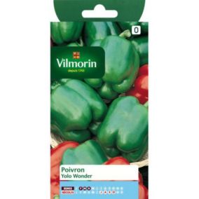 Graines de poivron variété "Yolo Wonder" Vilmorin semis de février à avril