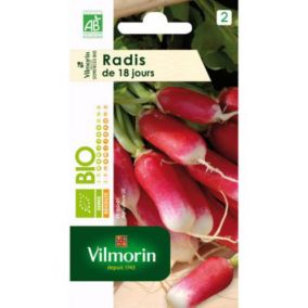 Graines de radis bio variété "18 jours" Vilmorin semis de mars à septembre