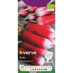 Graines de radis bio variété "French Breakfast 3" Verve semis de mars à septembre