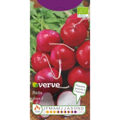 Graines de radis bio variété "Saxa" Verve semis de février à septembre