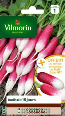 Graines de radis de 18 jours Vilmorin