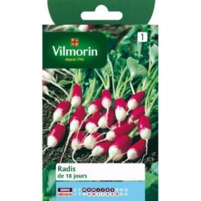 Graines de radis variété "18 jours" Vilmorin semis de mars à septembre
