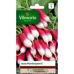 Graines de radis variété "Flamboyant 5" Vilmorin semis de mars à septembre