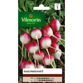 Graines de radis variété "National 2" Vilmorin semis de mars à septembre