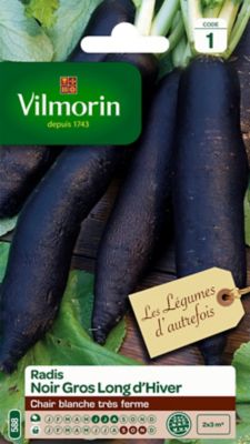 Graines de radis variété "Noir gros long d'hiver" Vilmorin semis de juin à août